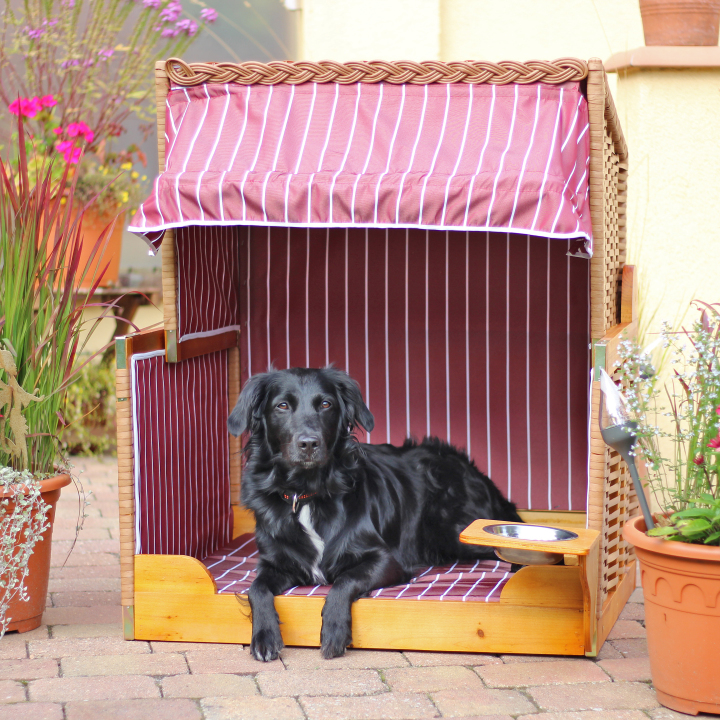 00254_Hundestrandkorb_Wacholder_PE_Beige_Dessin_Rot_Gestreift _1_ (2)